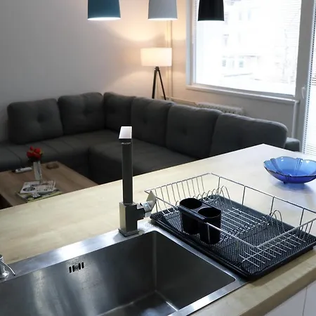 Spacious Modern Kisela Voda Daire *