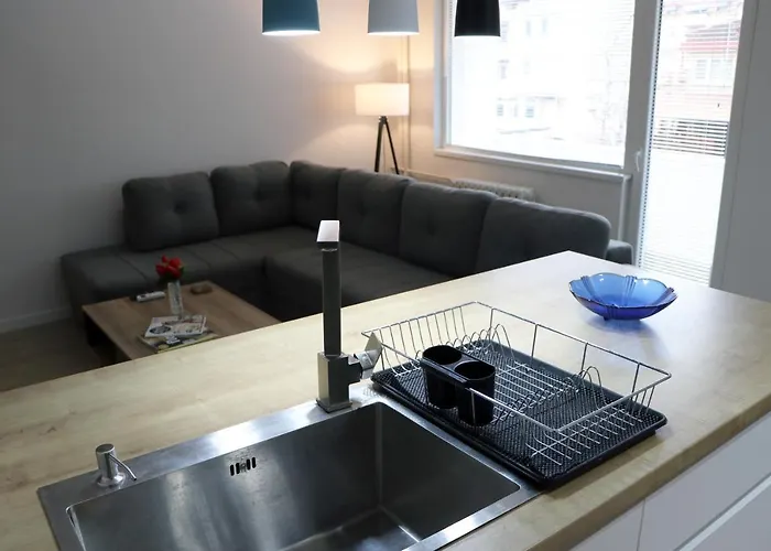 Spacious Modern Kisela Voda Apartment *